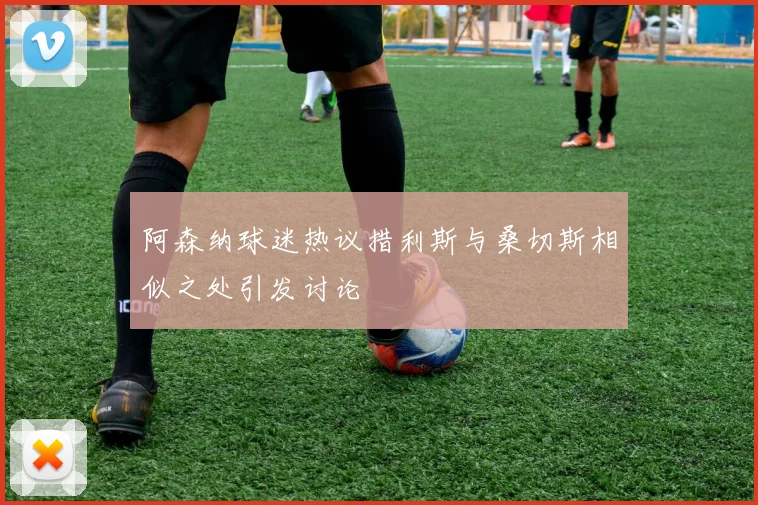 阿森纳球迷热议措利斯与桑切斯相似之处引发讨论