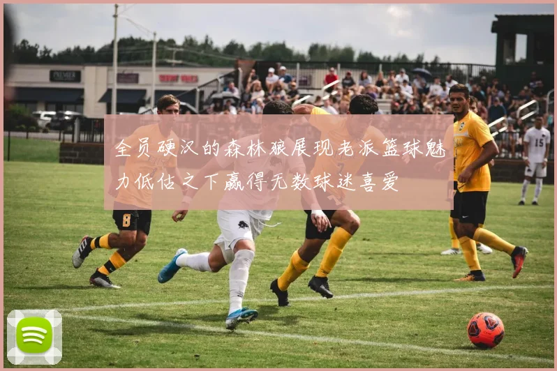 全员硬汉的森林狼展现老派篮球魅力低估之下赢得无数球迷喜爱