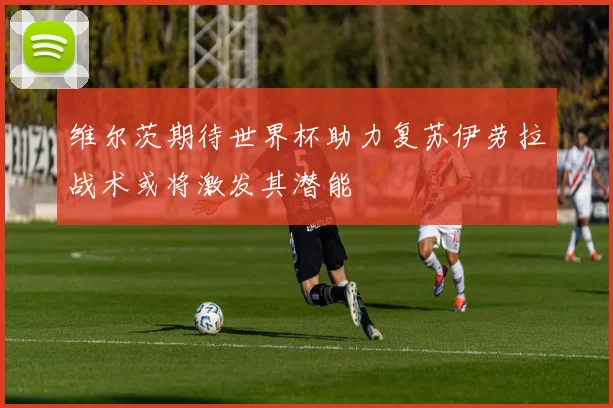 维尔茨期待世界杯助力复苏伊劳拉战术或将激发其潜能